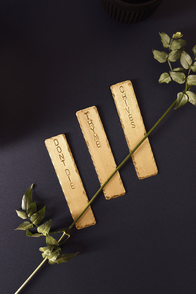 A set of three, garden herb tags. The tags are made from brass and are engraved: "Don't Die", "Thyme" and "Chives". The tags are made in Perth by Empire Copper.